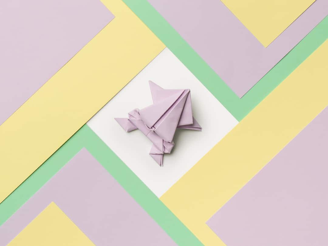 origami di una rana con fogli di carta Favini